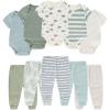 Gray Blue Dinosaur Ribbed 10 Pieces