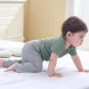 Ruliby Baby Bodysuit and Pant Set Summer Ribbed Mix Match Infant Boy Girl Clothes Outfits(Sage Green Dinosaur Ribbed 10 Pieces)