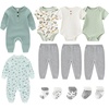 Starfish/White/Sage Green/Gray
