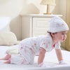 Ruliby Baby Bodysuit and Pant Set 10-pcs Cotton Soft Newborn Clothes Outfit(Pink Bunny Set 10 Pieces)